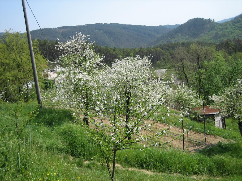 Agriturismo Casalino Beverino Exterior photo